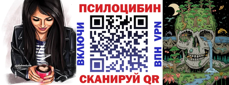 Псилоцибиновые грибы Psilocybe Среднеколымск